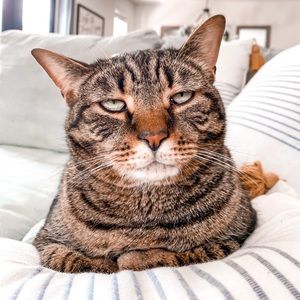 Reserved listing - don’t buy